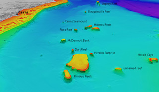 coralsea reefs