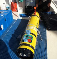 Robotic torpedoes help map our corals on Great Barrier Reef