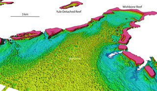 wishbonereef bioherms