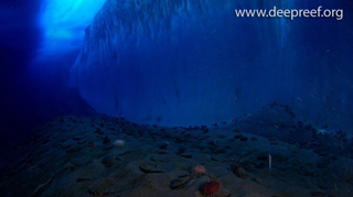 It’s All Academic: mapping the ocean floor