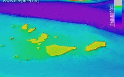 RV Sonne survey of Queensland Plateau